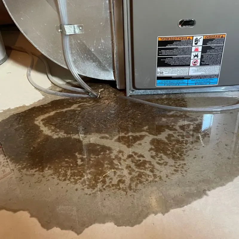 Pipe Burst and Leak Restoration in Nez Perce County, ID